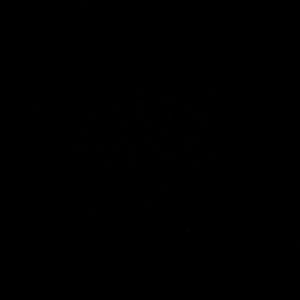 Meet your Posher, Kaylie